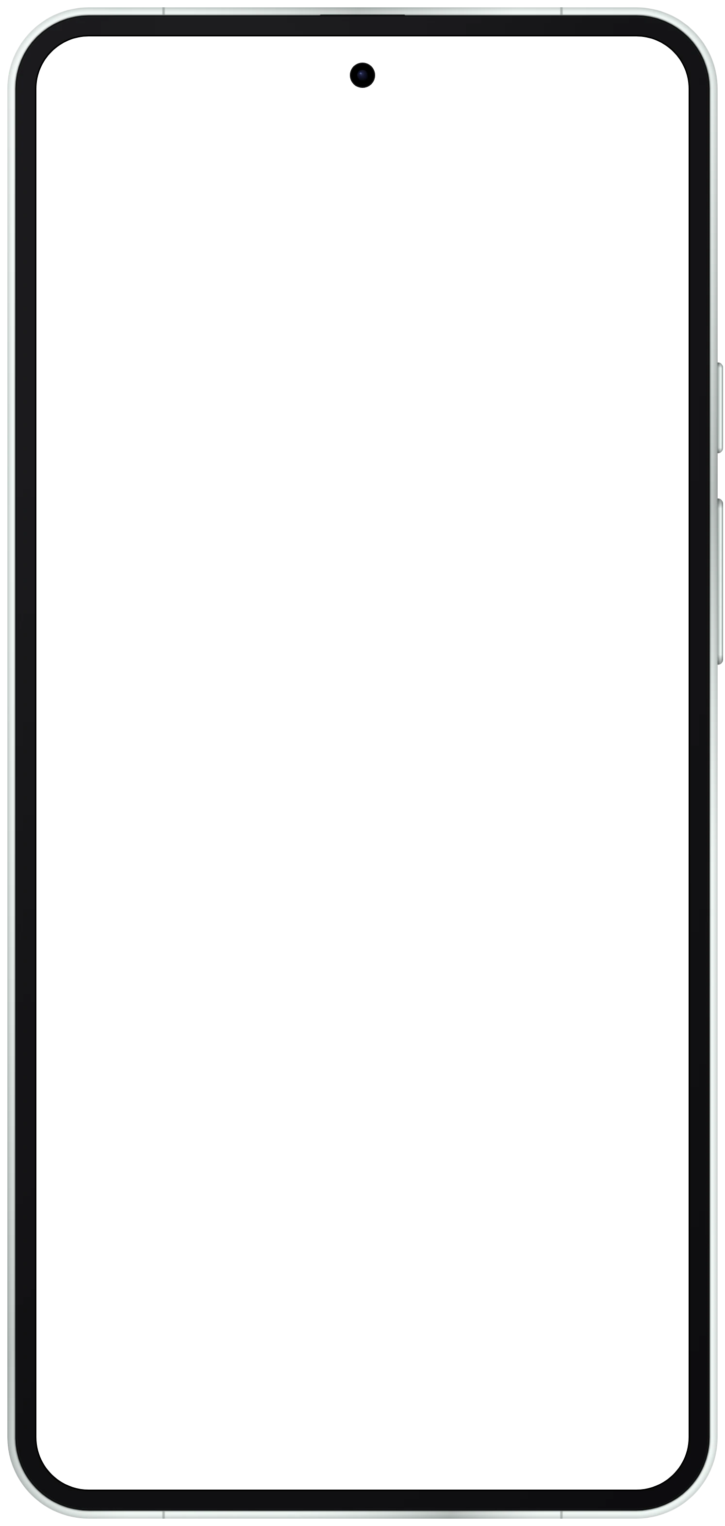 Pixel 11 Pro XL frame in Fog