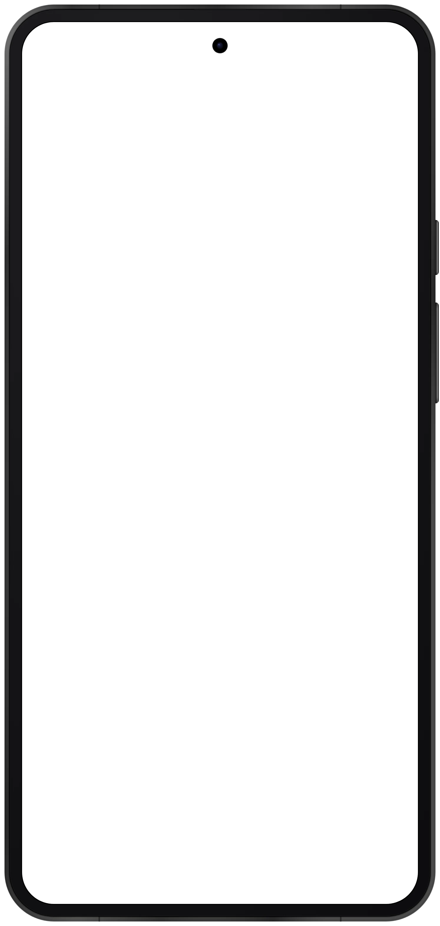 Pixel 11 Pro XL frame in Obsidian