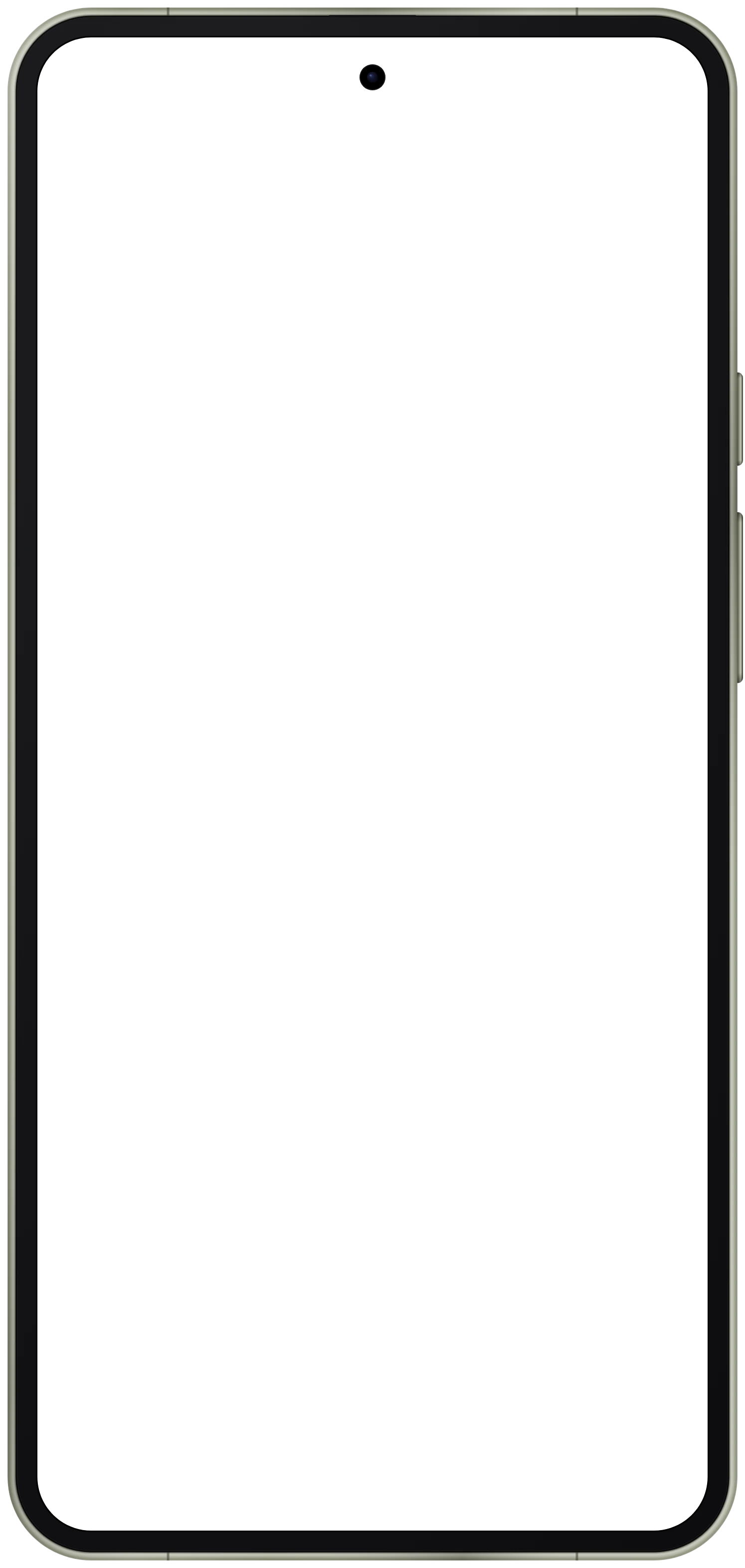 Pixel 11 Pro XL frame in Olive